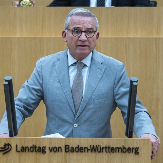 Gewalt in Baden-Württemberg