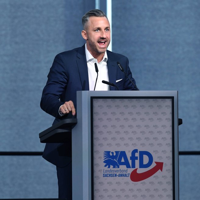 AfD-Sachen-Anhalt