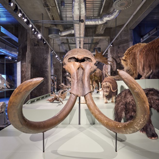 Ruhr Museum Essen 