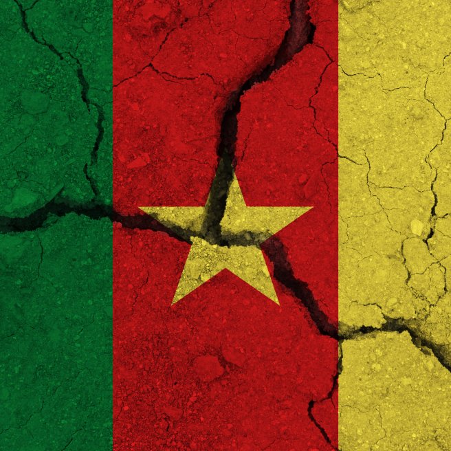Aktivisten verlassen Kamerun