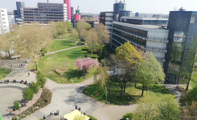 Trans Inter Schwubile Universität