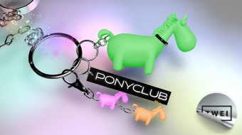 © facebook.com/Ponyclub.Mannheim
