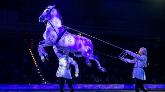 Welt der Fantasie // © CAVALLUNA/Apassionata world GmbH
