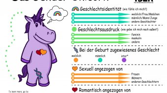 Ärger wegen Einhorn-Infografik // © transstudent.org/gender