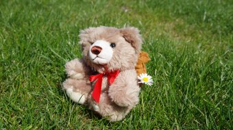 Aids-Teddy 2019 // © Lübecker AIDS-Hilfe e.V.