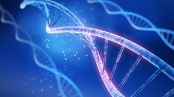 Trans-Identität könnte genetisch kodiert sein
