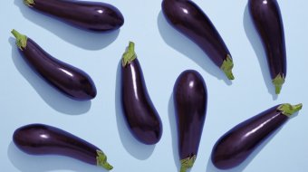 Unnützes Wissen rund um das Thema Sex