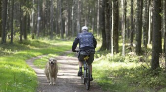 Schwules Paar von Hund gebissen und beleidigt