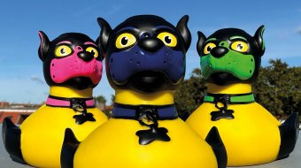 BIST DU BEREIT FÜR EINE PUPPYDUCK?