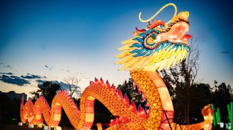 China Light-Festival im Kölner Zoo