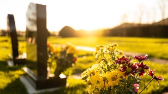 Es muss nicht immer Friedhof sein 