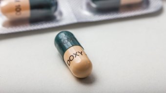 Erfolg der DoxyPEP