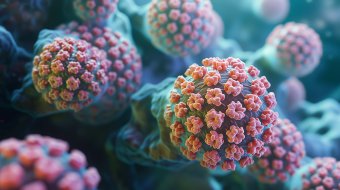 HPV: Die unbekannte Geschlechtskrankheit 