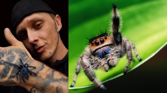 Der Spinnenflüsterer Marv aus Niedersachsen