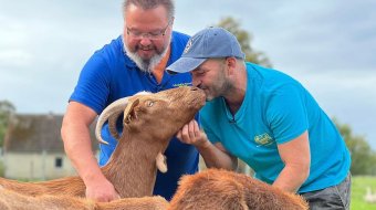Schwules Paar betreibt Lebenshof: Vielfalt und Tierschutz