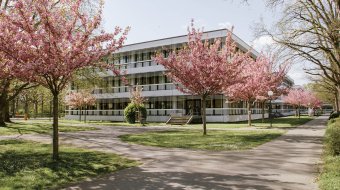 Karlsruhe: Queerfreundlichste Hochschule Deutschlands