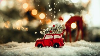 Survival Guide für Weihnachten