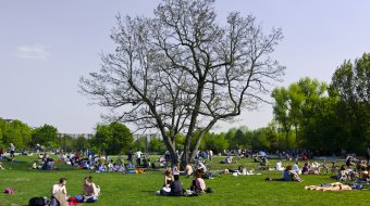 Gewalt im Görlitzer Park: Angriff auf schwulen Mann