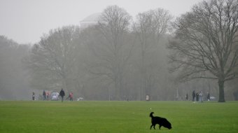 Festnahmen: Homofeindlicher Angriff im Hamburger Stadtpark