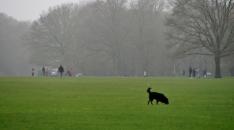 Stadtpark // © clarini