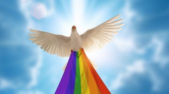 Kansas: Polyamore Taubenfamilie zieht alle Blicke auf sich