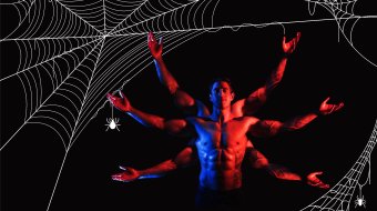 Im schwulen Spinnennetz 