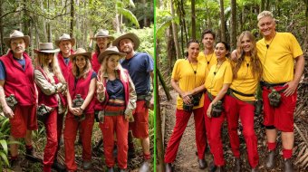 Dschungelcamp 2026: Neuer Look, getrennte Lager