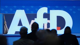 AfD Sachsen-Anhalt