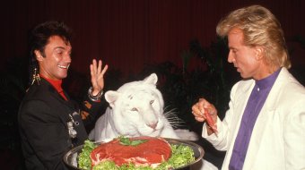Serie über Siegfried und Roy 
