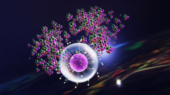 Hoffnungen in der HIV-Forschung 