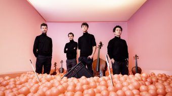 vision string quartet