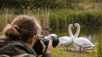 Gleichgeschlechtliche Liebe im Tierreich 