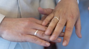 Sieg auf ganzer Linie 