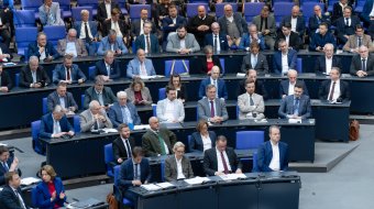 AfD -Antrag im Bundestag 