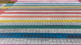 Krieg im Regenbogenland 