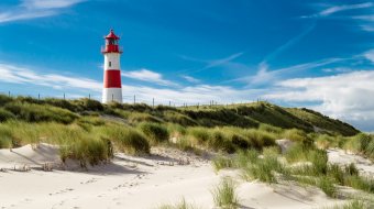 Neue LSVD+ Landesvorstände