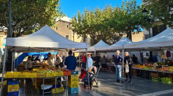 Homophober Angriff auf Mallorca