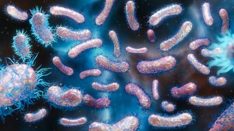 Shigella-Infektionen in England
