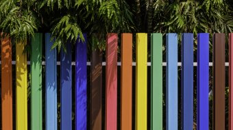 Streit am Gartenzaun