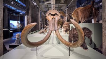 Ruhr Museum Essen 