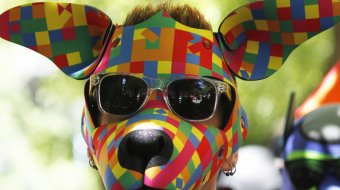 Puppy mit bunter Maske (Symbolbild) // © JanaShea