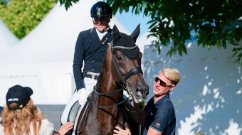 Partner im Sattel und Stall 