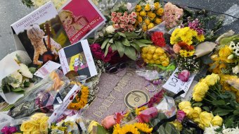 Dolly Partons Stern auf dem Walk of Fame zerstört 