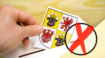 Wahlprüfsteine des LSVD+