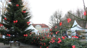 Archivmotiv des Veranstalters: Weihnachtsbäume mit roten Schleifen und Marktstände vor dem Herrenhaus auf Gut Emkendorf.