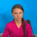 Miniaturbild