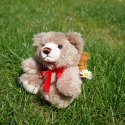 Miniaturbild