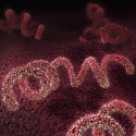Syphilis unaufhaltsam? // © Christoph Burgstedt