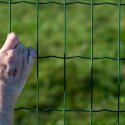 Seniorin wegen Belästigung ihrer schwulen Nachbarn verurteilt