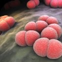Gesundheitswarnung für schwule US-Urlauber // iLexx